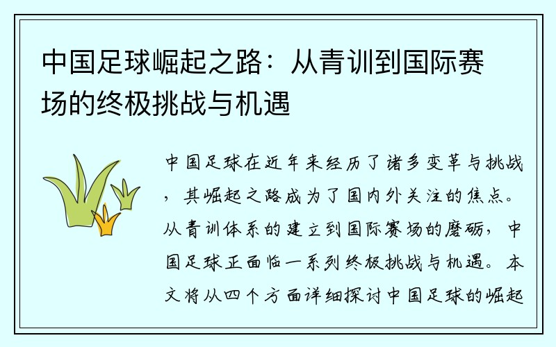 中国足球崛起之路：从青训到国际赛场的终极挑战与机遇