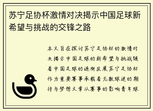 苏宁足协杯激情对决揭示中国足球新希望与挑战的交锋之路